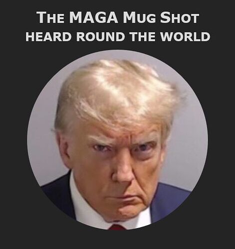 The MAGA Mug Shot Heard Round The World