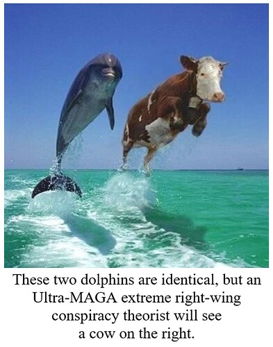 These two dolphins are identical, but an Ultra-MAGA extreme right-wing conspiracy theorist will see a cow on the right