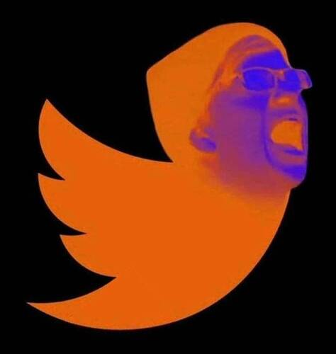 Twitter Bird with Trump hating girl face - in reverse video with orange bird and black backgrount