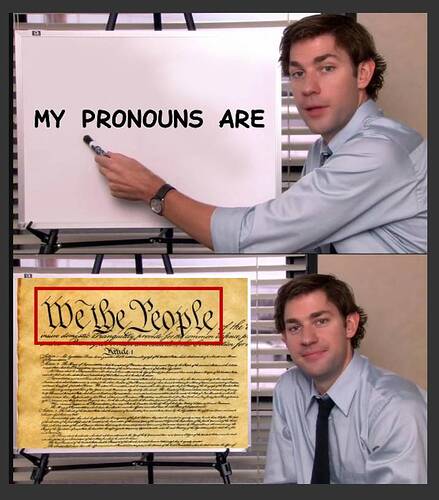 John Krasinski meme - My Pronouns Are - We The People