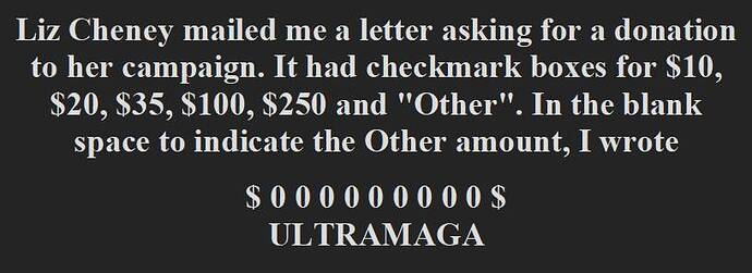 Liz Cheney mailed me a letter asking for a donation - with ULTRAMAGA