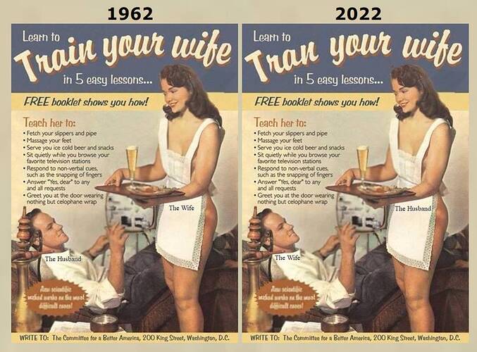 Learn to Train Your Wife 1962 - Learn to Tran Your Wife 2022